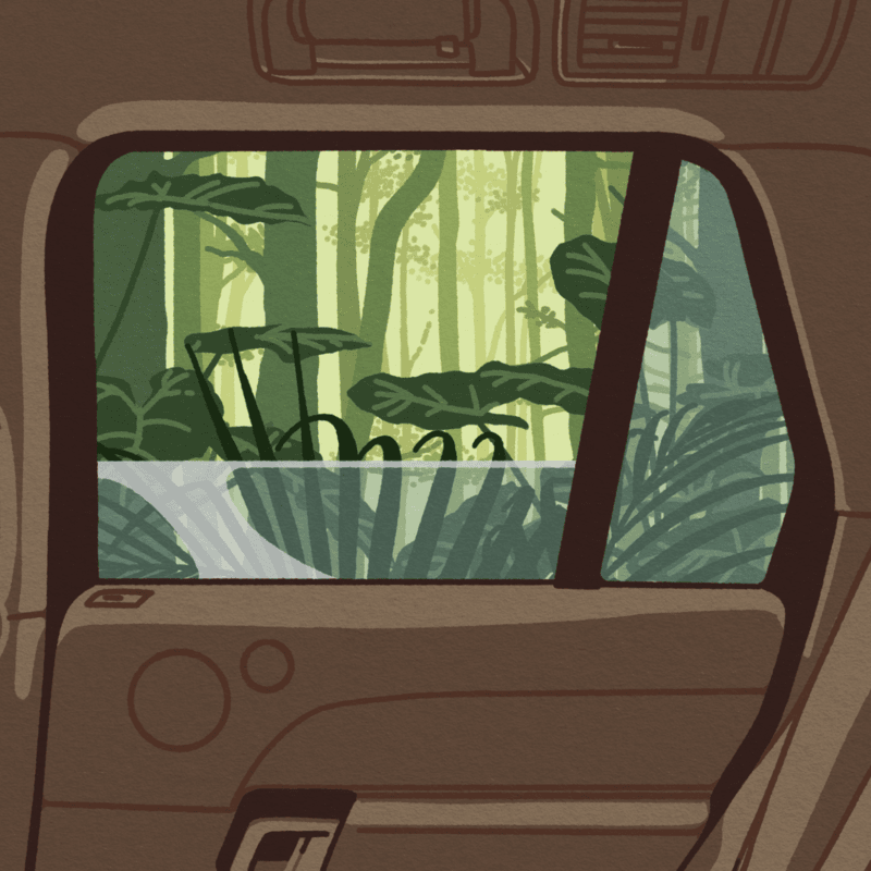 Mini Monny - Windows Down